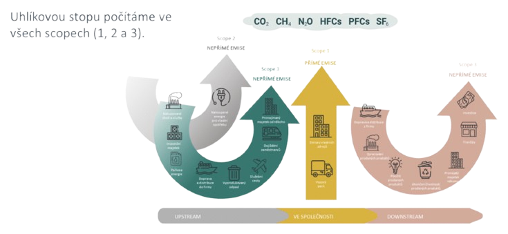 image-removebg-preview (2).png