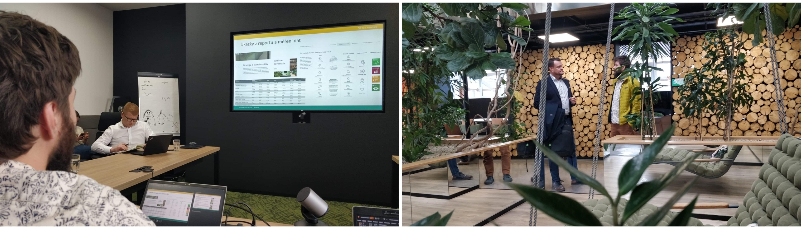 Ahrend 2 collage.jpg